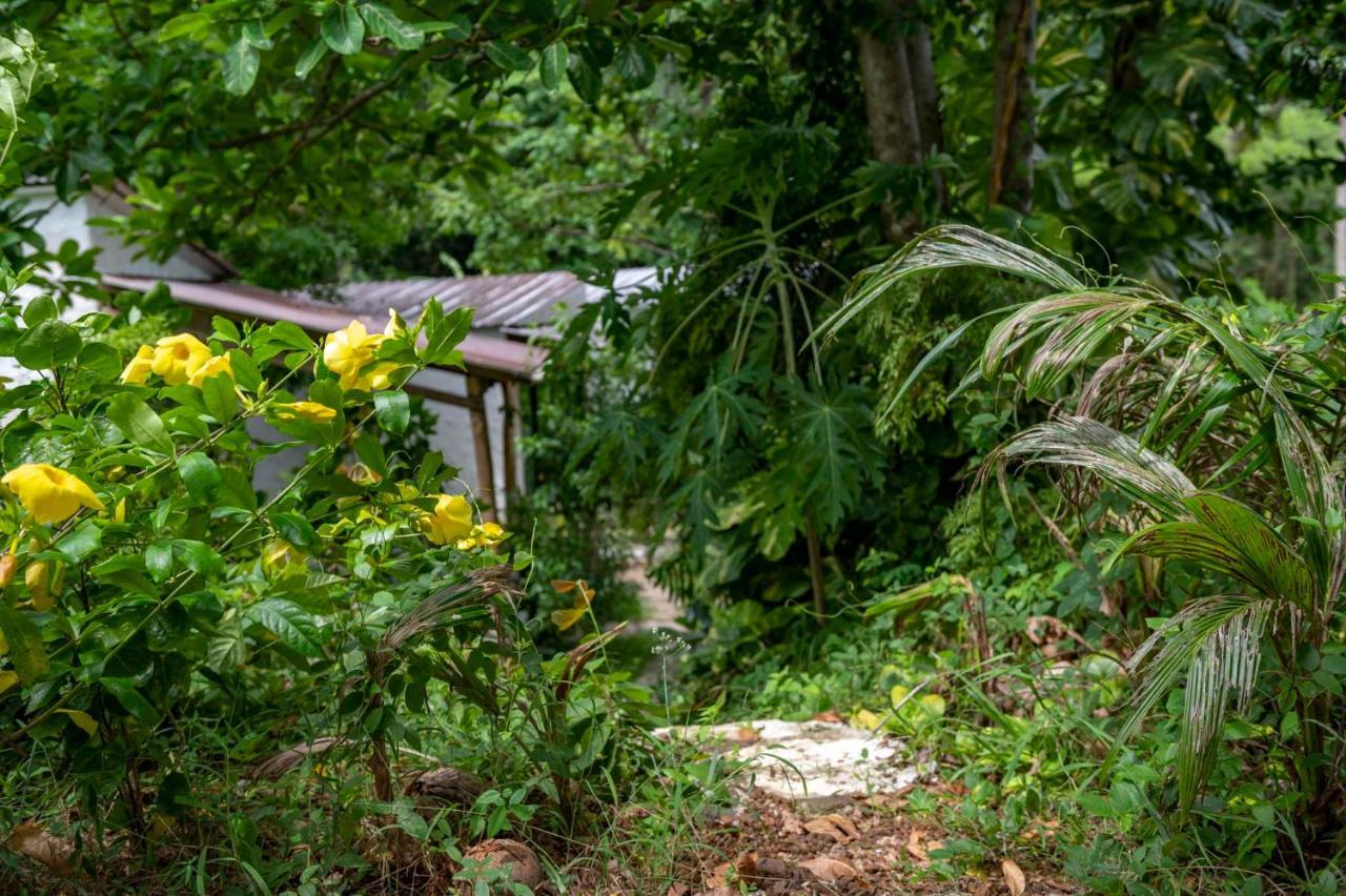 Banana Sunset - Bar & Bungalows Koh Mak Exterior photo